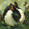 Dutch Boy -  Bunny Rabbit