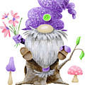 Leif Gnome